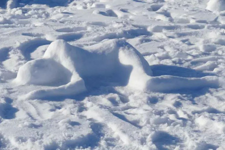 GÜNÜN HAREKETİ: Kaçırılan yerli kadınlar için buzdan heykeller