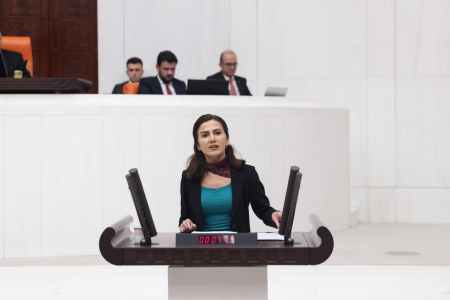 HEDEP Milletvekili Sümeyye Boz: Kadın konukevleri ihtiyacı karşılamıyor