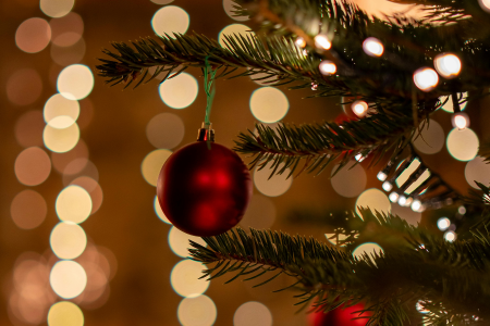 2026'ya girerken: İnsanca yaşam istiyoruz!