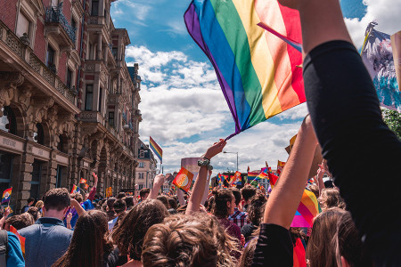 Macaristan'da LGBTİ karşıtı yasa yürürlüğe girdi