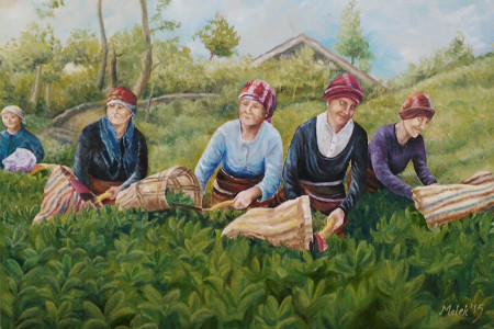 Gıda-İş: ÇAYKUR, emeğiyle çayı var eden kadınlarındır