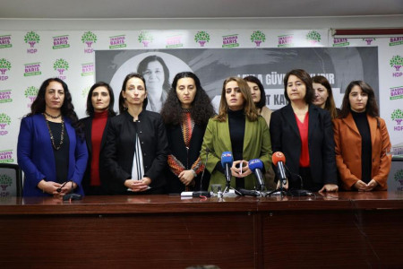 HDP’li vekiller kadına yönelik şiddet verileri için 162 soru önergesi verdi