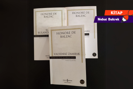 Bir kitap: Vadideki Zambak