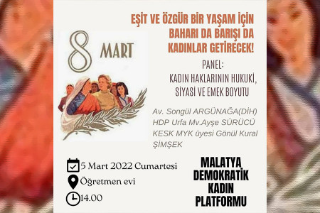 Malatya Demokratik Kadın Platformundan 8 Mart etkinliği