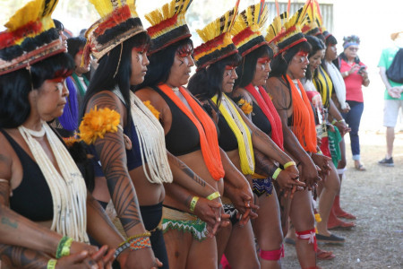 Brezilya'da yerli halklar toprak hakları için yürüdü