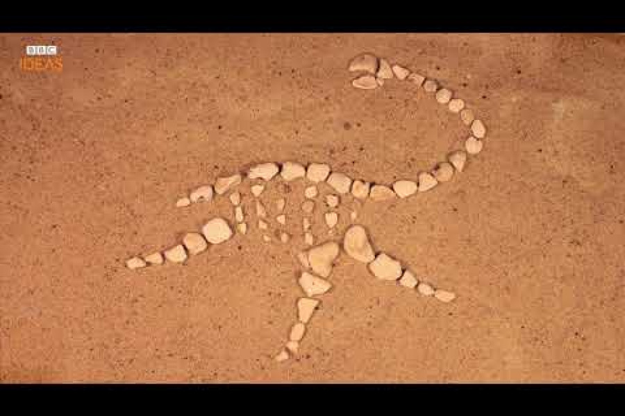GÜNÜN VİDEOSU: Mary Anning’in gerçek hikayesi