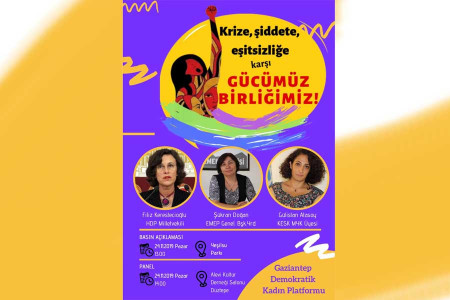 Gaziantep Demokratik Kadın Platformu’ndan 25 Kasım paneli