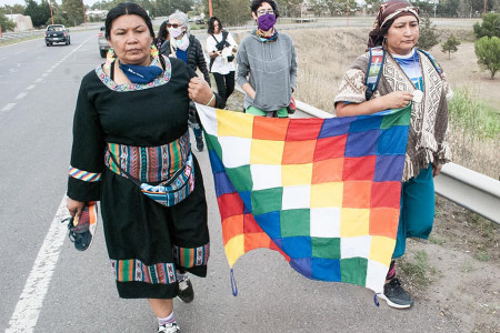 Arjantinli yerli kadınlar doğa için 1900 kilometre yürüdü
