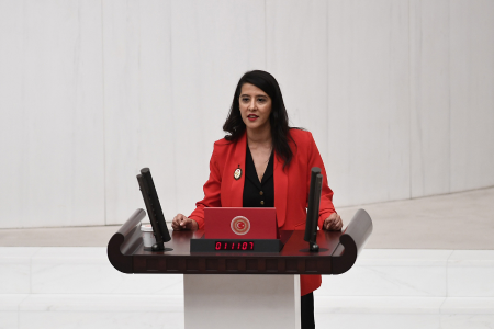EMEP Milletvekili Sevda Karaca Mücella Yapıcı’nın sağlık hakkının engellenmesi ile ilgili soru önergesi hazırladı