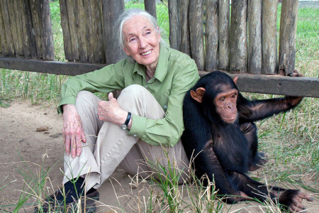 GÜNÜN PORTRESİ: Jane Goodall