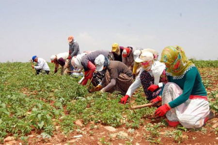 GÜNÜN BELLEĞİ: İş cinayetlerinde yaşamını yitiren tarım işçisi kadınlar