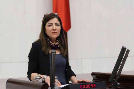 Züleyha Gülüm’ün katılacağı panele MHP provokasyon çağrısı yaptı