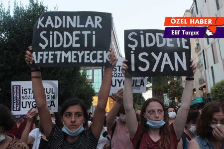 Türkiye'de kadına yönelik şiddet araştırması: Kadınlar en çok aile içinde şiddete uğruyor