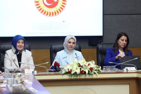 Aile Bakanı KEFEK'te | EMEP, TİP ve DEM vekilleri kadınların sorularını iletti, AKP'li vekiller tahammül edemedi
